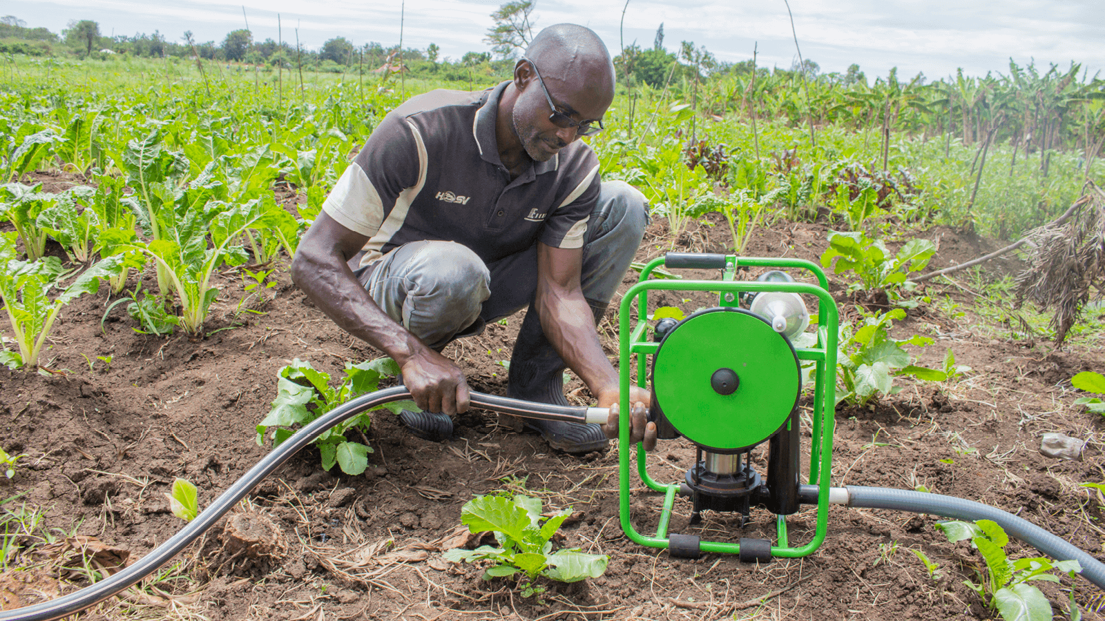 logreen-world-energy-futurepump-200226-SE1-press-release-blog-Farmer-with-SE1-solar-pump